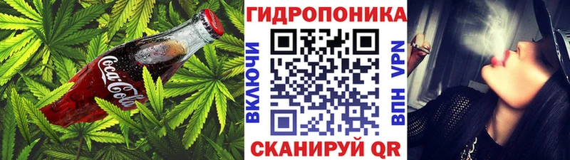 Cannafood конопля  OMG вход  Фрязино 