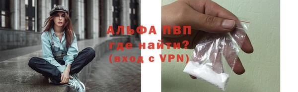 гашик Тихвин