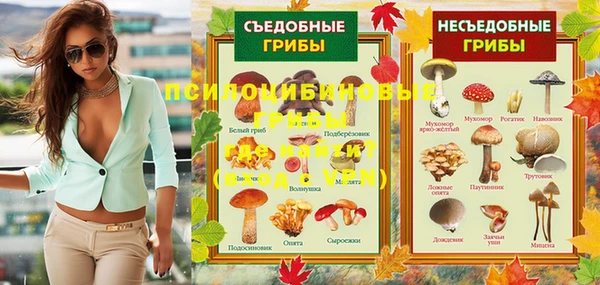 jwh Медногорск