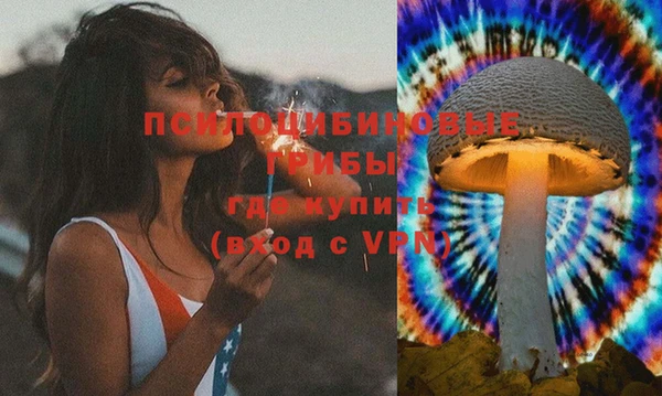 мдма Медвежьегорск