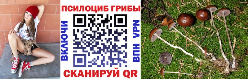 Галлюциногенные грибы ЛСД Фрязино