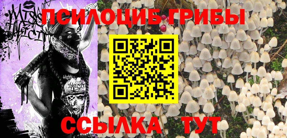 Псилоцибиновые грибы GOLDEN TEACHER  Вход с VPN  Фрязино 