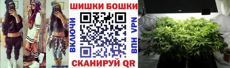 Бошки марихуана план  Фрязино 